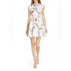 TED BAKER Blush Pink Floral
Elegance Scallop Skater Fit Flare
Dress